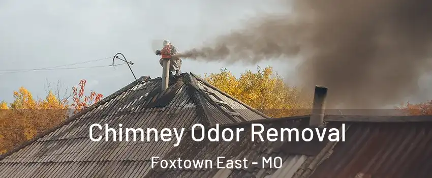 Chimney Odor Removal Foxtown East - MO