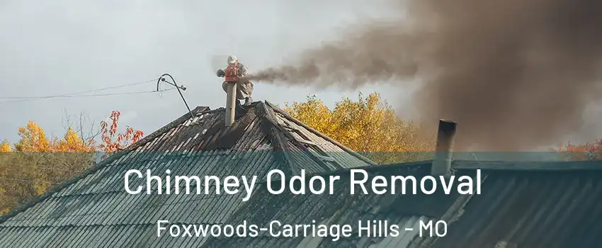Chimney Odor Removal Foxwoods-Carriage Hills - MO