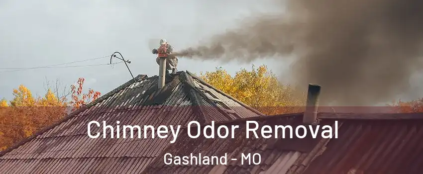 Chimney Odor Removal Gashland - MO