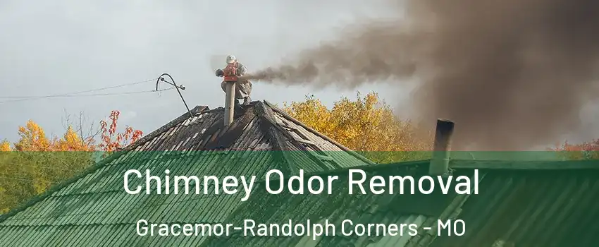 Chimney Odor Removal Gracemor-Randolph Corners - MO