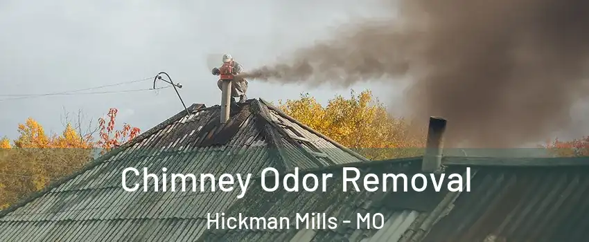 Chimney Odor Removal Hickman Mills - MO