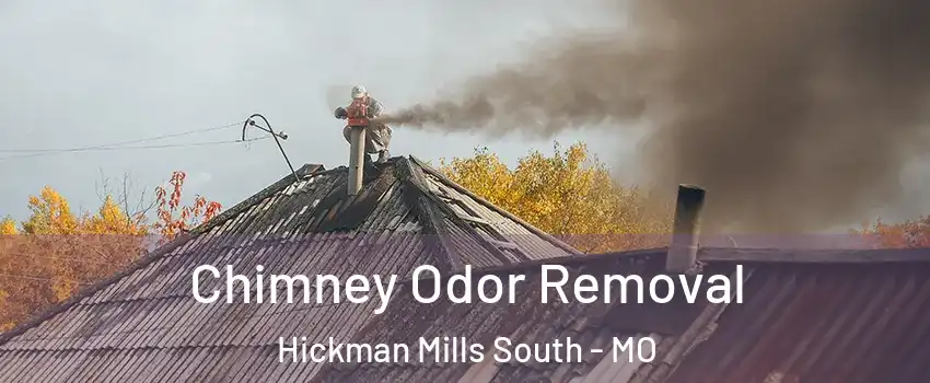 Chimney Odor Removal Hickman Mills South - MO