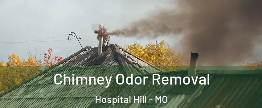 Chimney Odor Removal Hospital Hill - MO