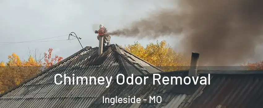 Chimney Odor Removal Ingleside - MO