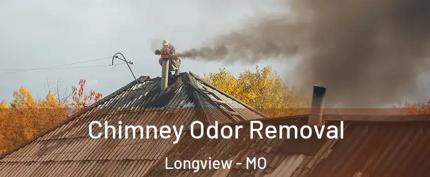 Chimney Odor Removal Longview - MO