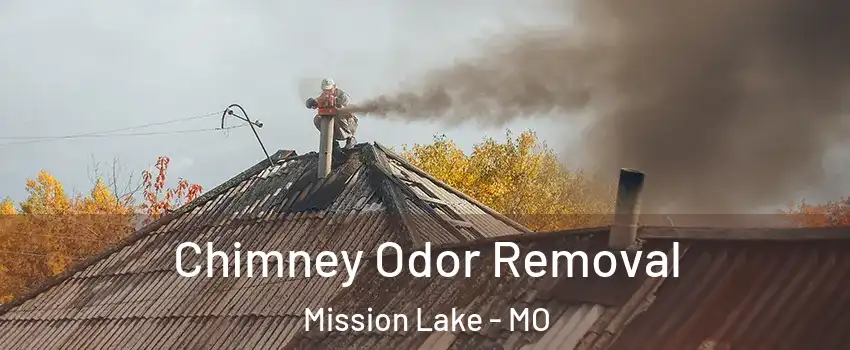 Chimney Odor Removal Mission Lake - MO