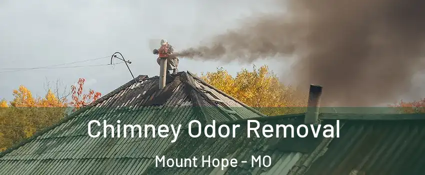 Chimney Odor Removal Mount Hope - MO