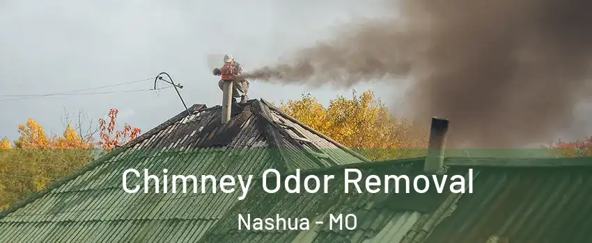 Chimney Odor Removal Nashua - MO