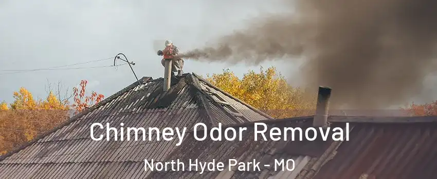 Chimney Odor Removal North Hyde Park - MO