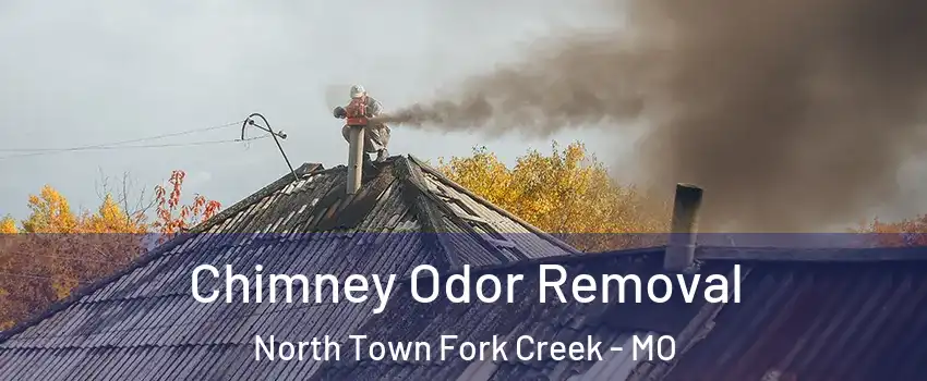 Chimney Odor Removal North Town Fork Creek - MO