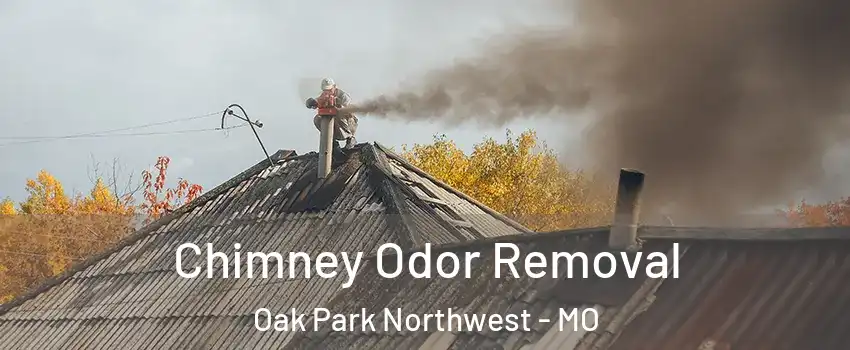 Chimney Odor Removal Oak Park Northwest - MO