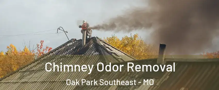 Chimney Odor Removal Oak Park Southeast - MO