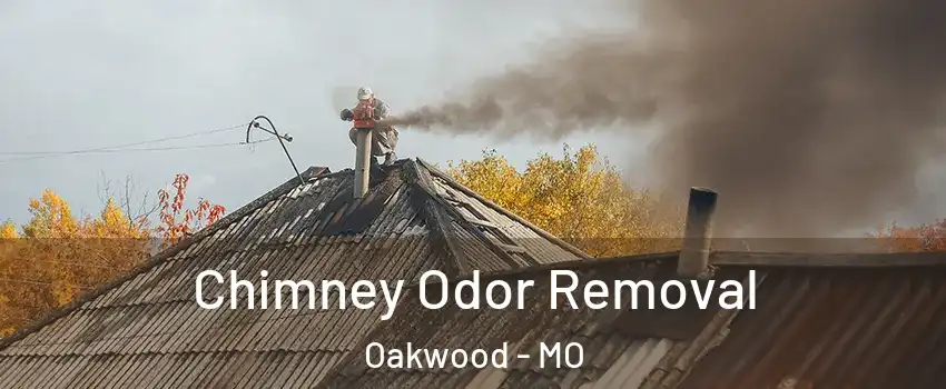 Chimney Odor Removal Oakwood - MO