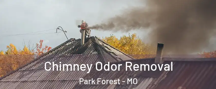 Chimney Odor Removal Park Forest - MO