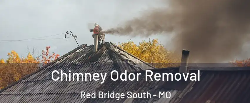 Chimney Odor Removal Red Bridge South - MO