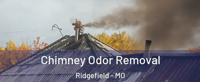 Chimney Odor Removal Ridgefield - MO
