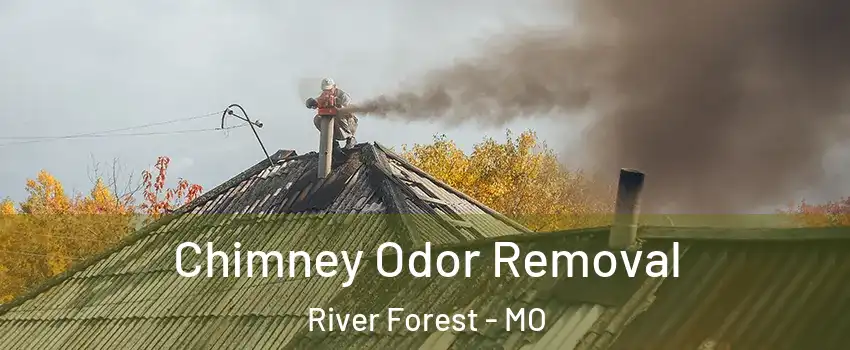 Chimney Odor Removal River Forest - MO