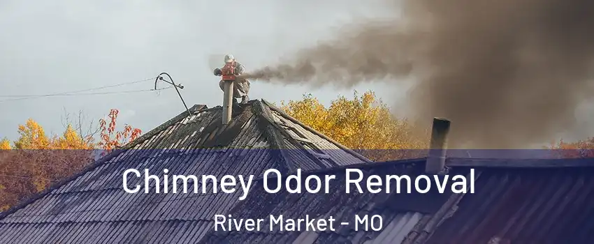 Chimney Odor Removal River Market - MO