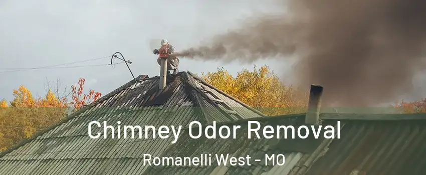 Chimney Odor Removal Romanelli West - MO