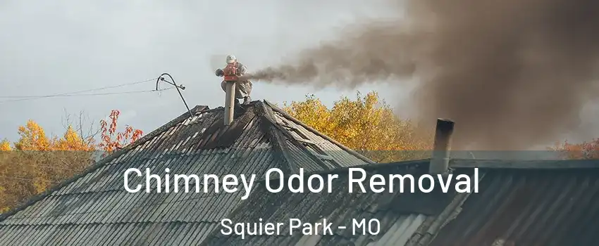 Chimney Odor Removal Squier Park - MO