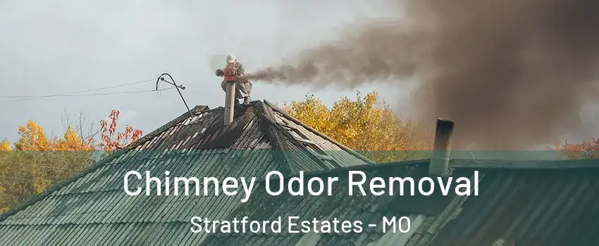 Chimney Odor Removal Stratford Estates - MO