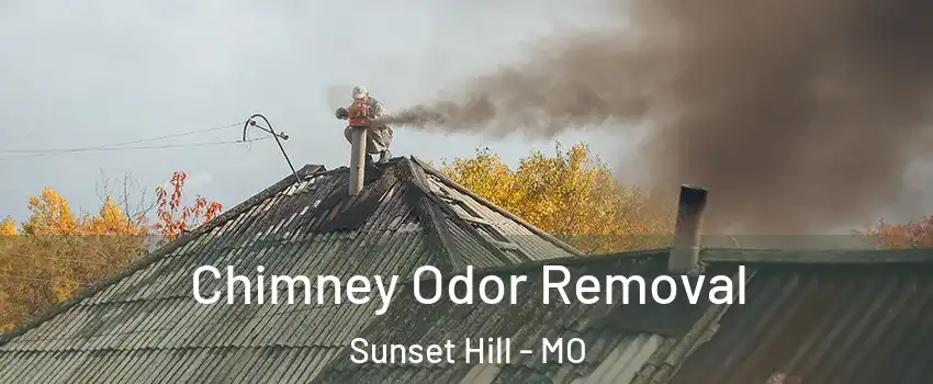 Chimney Odor Removal Sunset Hill - MO