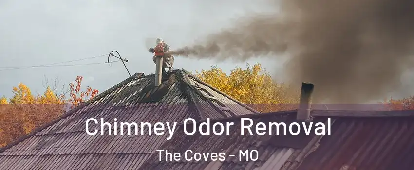 Chimney Odor Removal The Coves - MO