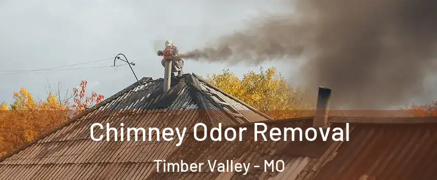 Chimney Odor Removal Timber Valley - MO