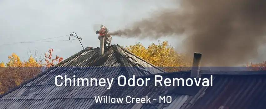 Chimney Odor Removal Willow Creek - MO