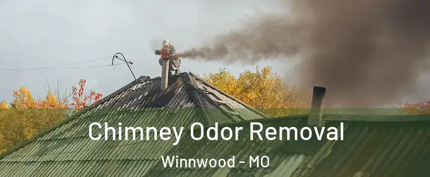 Chimney Odor Removal Winnwood - MO