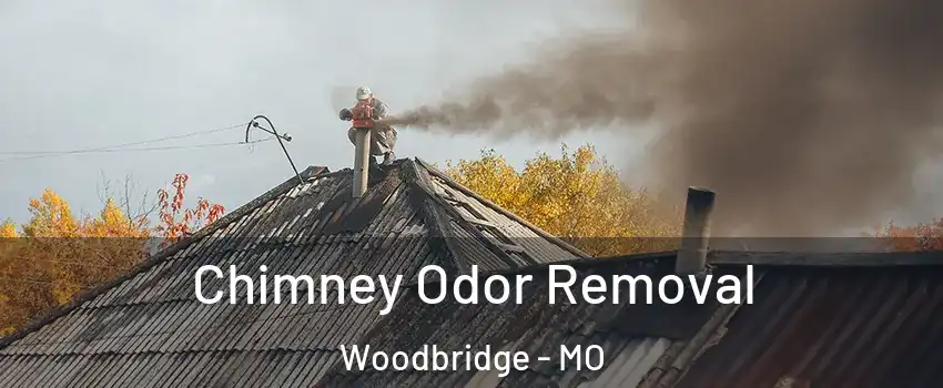 Chimney Odor Removal Woodbridge - MO