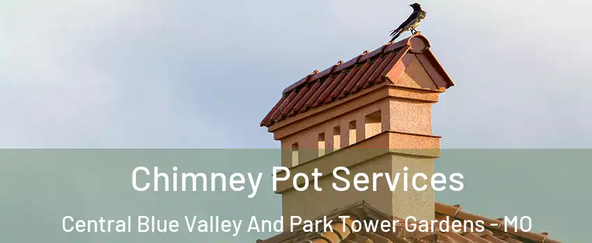 Chimney Pot Services Central Blue Valley And Park Tower Gardens - MO