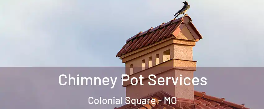 Chimney Pot Services Colonial Square - MO
