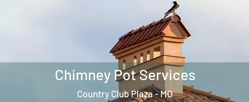 Chimney Pot Services Country Club Plaza - MO