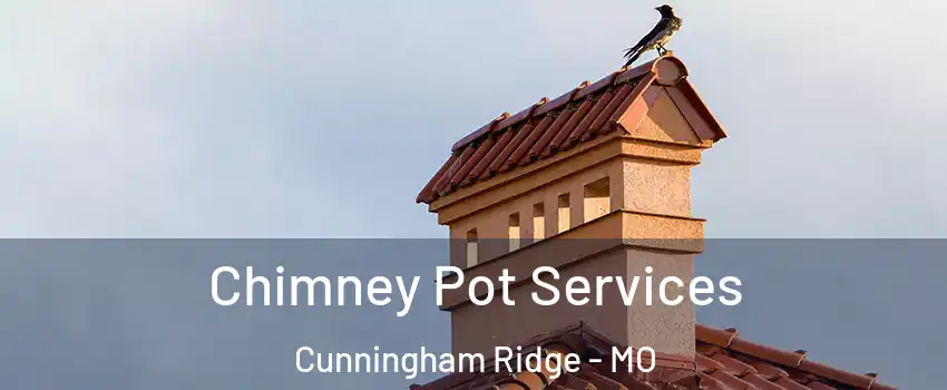 Chimney Pot Services Cunningham Ridge - MO