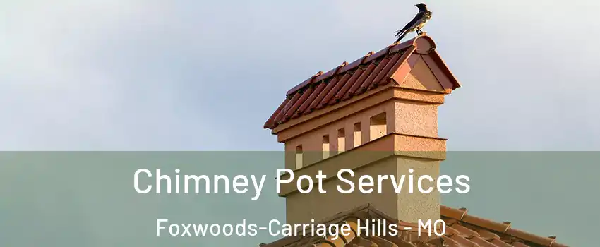 Chimney Pot Services Foxwoods-Carriage Hills - MO