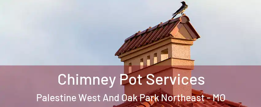 Chimney Pot Services Palestine West And Oak Park Northeast - MO