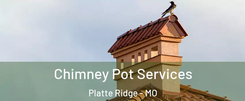 Chimney Pot Services Platte Ridge - MO
