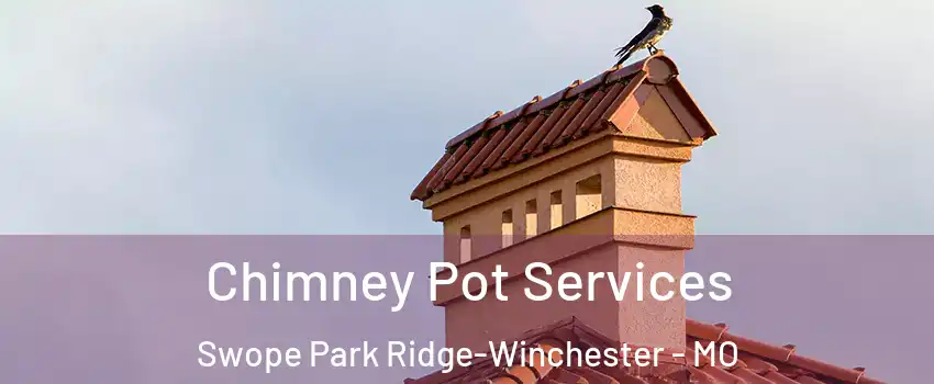 Chimney Pot Services Swope Park Ridge-Winchester - MO