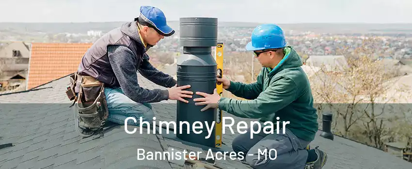 Chimney Repair Bannister Acres - MO