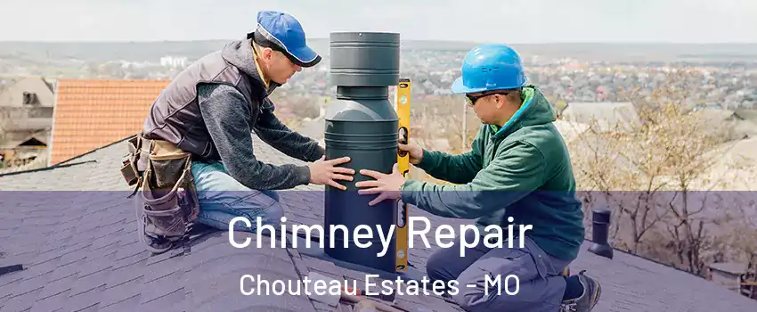 Chimney Repair Chouteau Estates - MO
