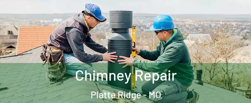 Chimney Repair Platte Ridge - MO