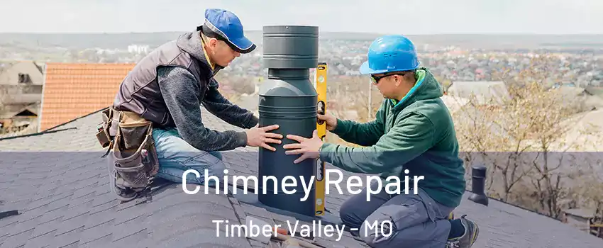 Chimney Repair Timber Valley - MO