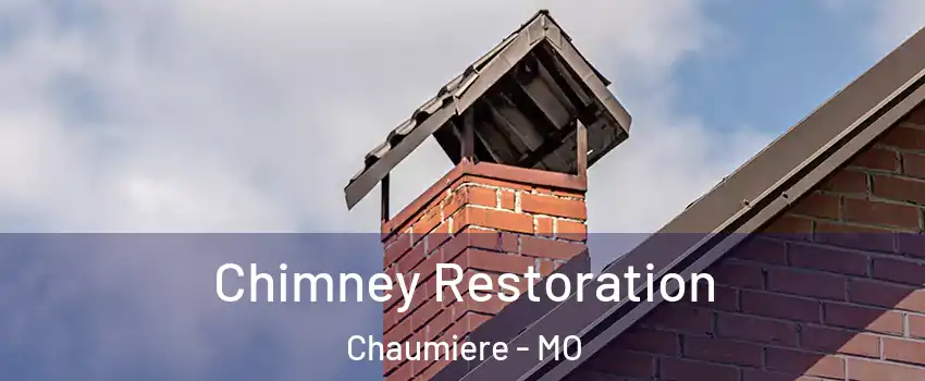 Chimney Restoration Chaumiere - MO