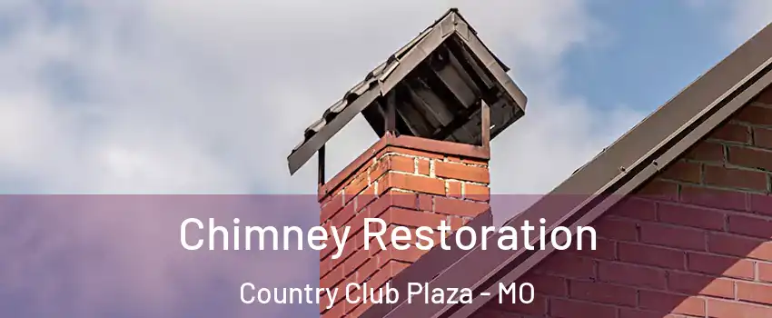 Chimney Restoration Country Club Plaza - MO