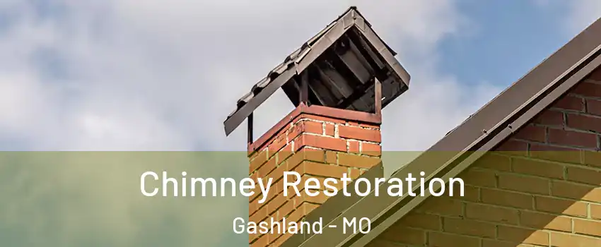 Chimney Restoration Gashland - MO