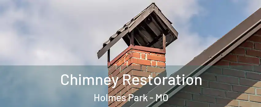 Chimney Restoration Holmes Park - MO