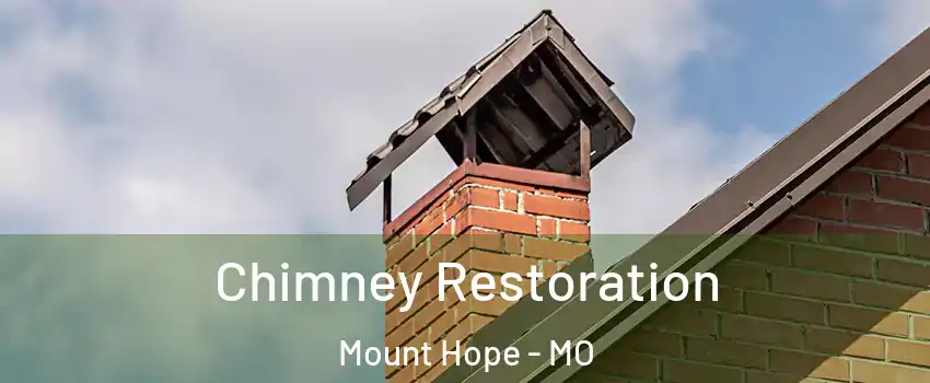 Chimney Restoration Mount Hope - MO