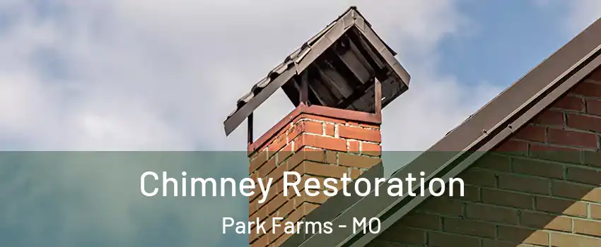 Chimney Restoration Park Farms - MO