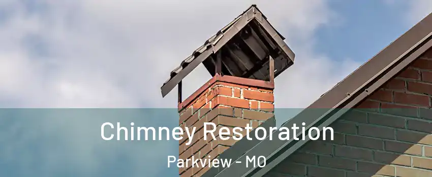 Chimney Restoration Parkview - MO